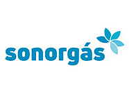 Sonorgs